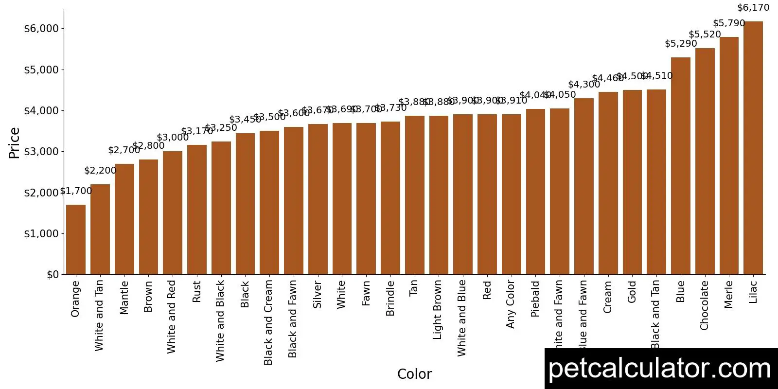 Price of French Bulldog by Color 