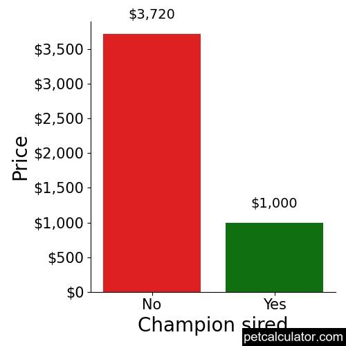 Price of French Spaniel by Champion sired 