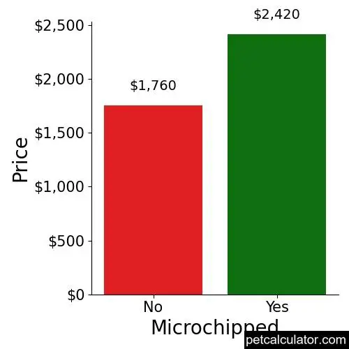 Price of Frenchie Pug by Microchipped 