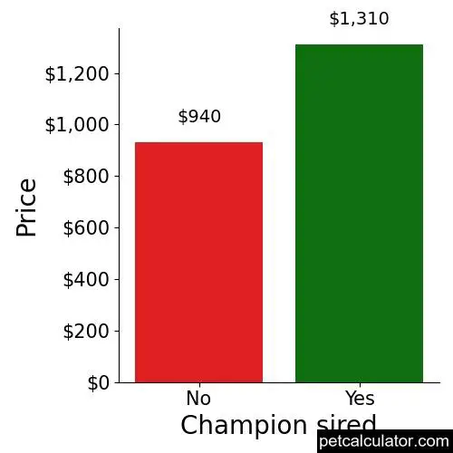 Price of German Wirehaired Pointer by Champion sired 