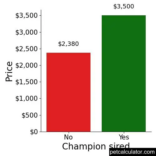 Price of Greater Swiss Mountain Dog by Champion sired 