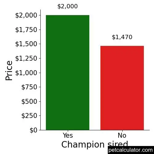 Price of Harlequin Pinscher by Champion sired 