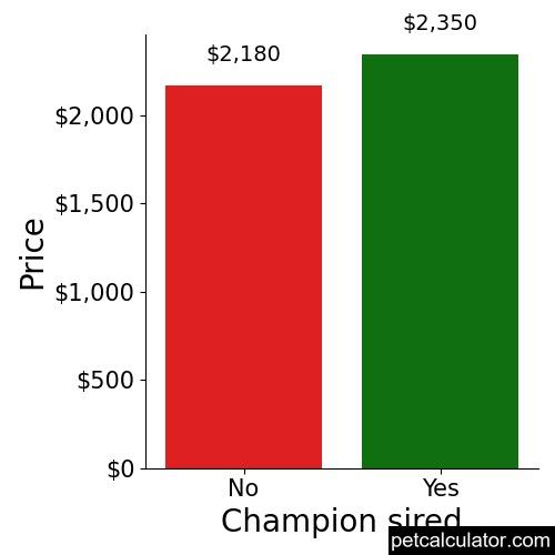 Price of Havanese by Champion sired 