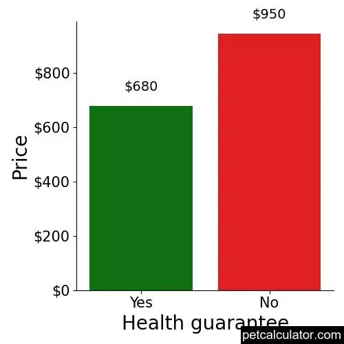 Price of American Bandogge Mastiff by Health guarantee 