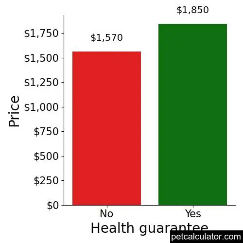 Price of Aussiedoodle by Health guarantee 