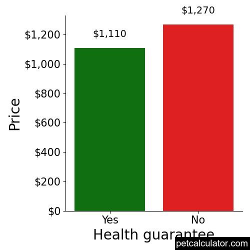 Price of Australian Koolie by Health guarantee 