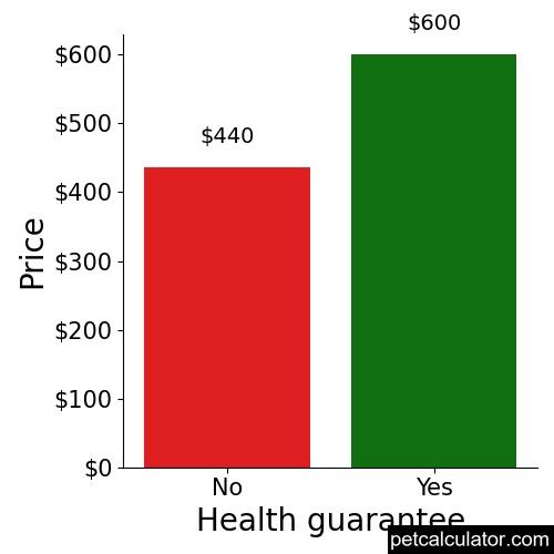 Price of Black and Tan Coonhound by Health guarantee 