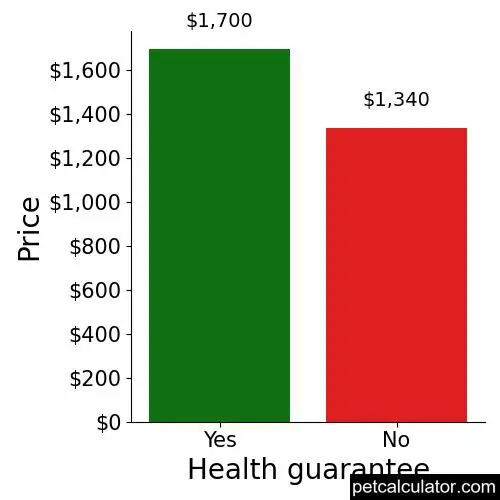 Price of Boston Terrier by Health guarantee 