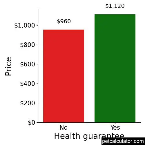 Price of English Setter by Health guarantee 