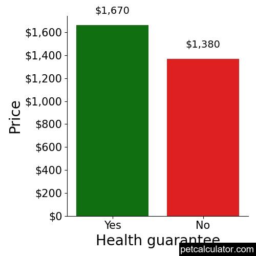 Price of Great Dane by Health guarantee 