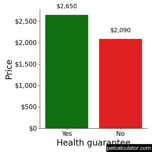Price of Miniature Poodle by Health guarantee 
