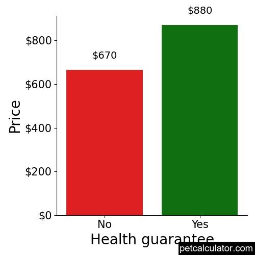 Price of Rat Terrier by Health guarantee 