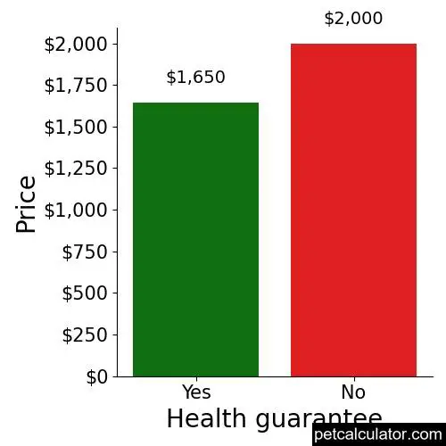 Price of Soft Coated Wheaten Terrier by Health guarantee 