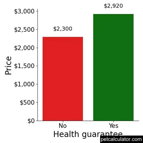 Price of Toy Poodle by Health guarantee 
