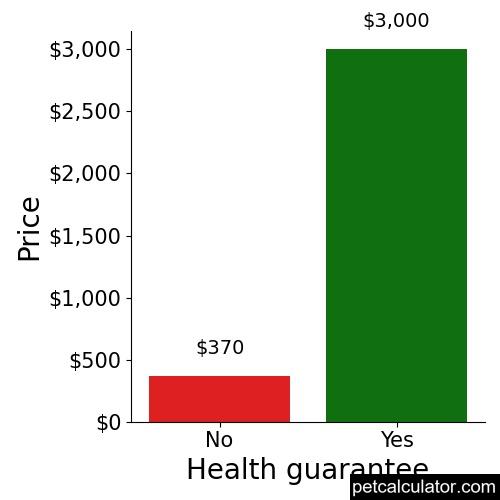 Price of Yorkie Apso by Health guarantee 