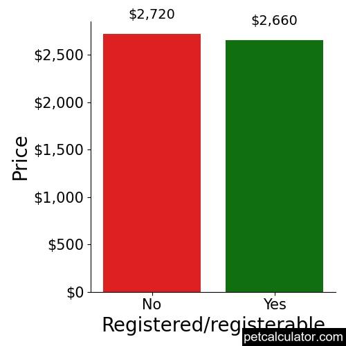 Price of Bernedoodle by Registered/registerable 