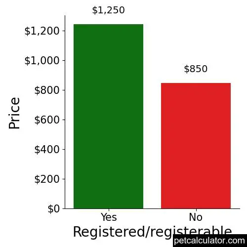 Price of Boykin Spaniel by Registered/registerable 