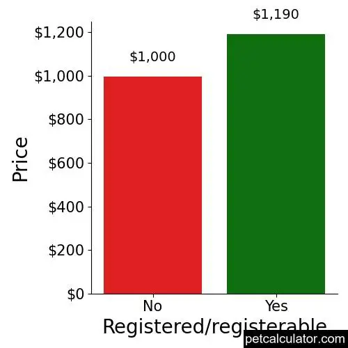 Price of Chi-Poo by Registered/registerable 
