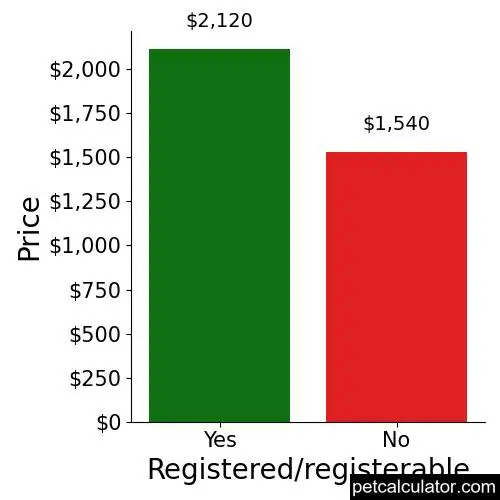 Price of Chihuahua by Registered/registerable 