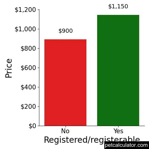 Price of Chorkie by Registered/registerable 