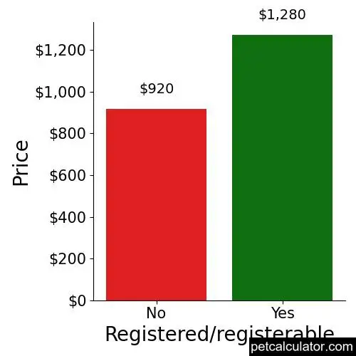 Price of Designer Breed Large by Registered/registerable 