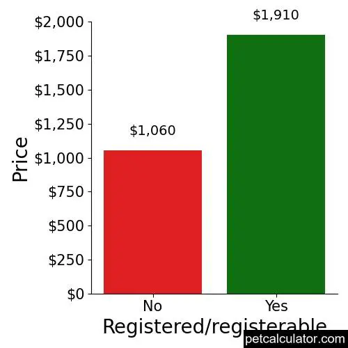 Price of Designer Breed Medium by Registered/registerable 