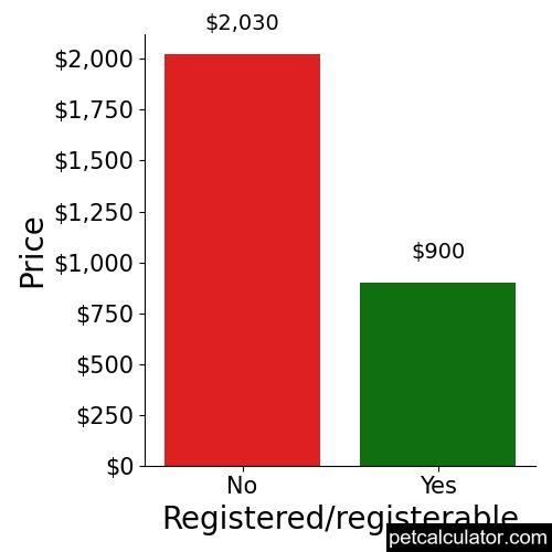 Price of King Shepherd by Registered/registerable 