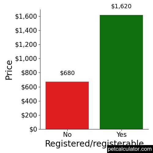 Price of Komondor by Registered/registerable 
