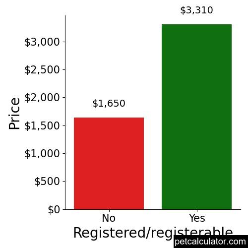 Price of Miniature American Shepherd by Registered/registerable 