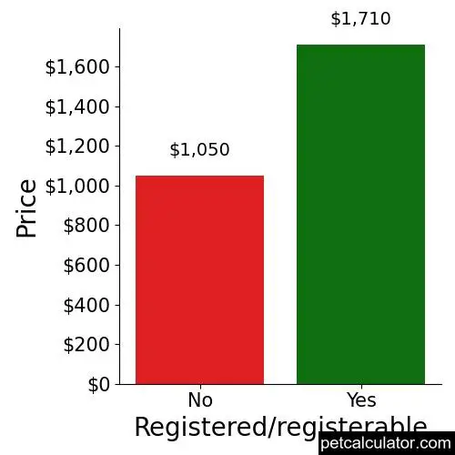 Price of Saint Bernard by Registered/registerable 