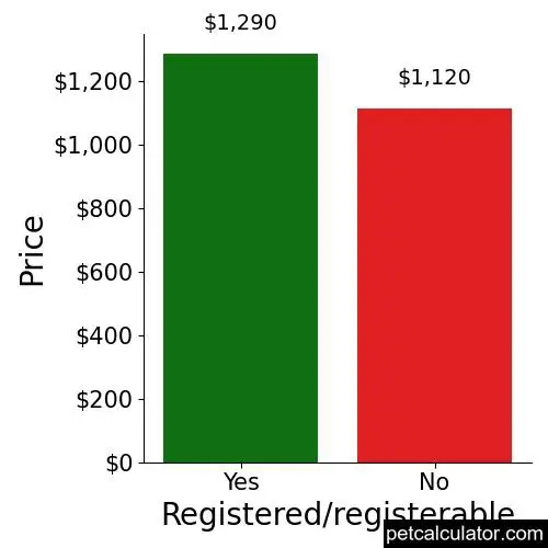 Price of Schipperke by Registered/registerable 