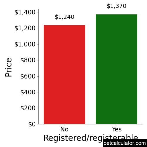 Price of Shorkie Tzu by Registered/registerable 