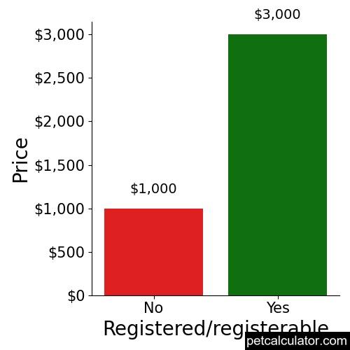 Price of Volpino Italiano by Registered/registerable 