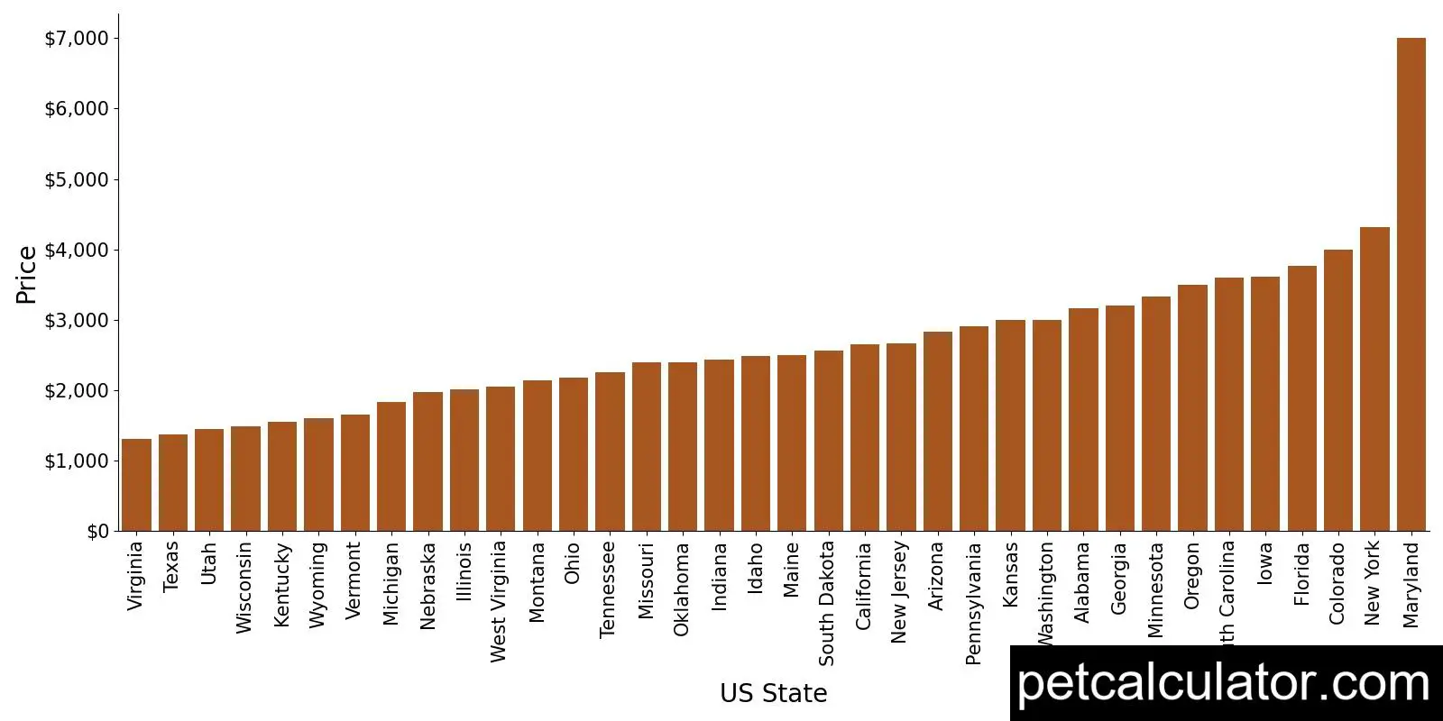 Price of Bernese Mountain Dog by US State 