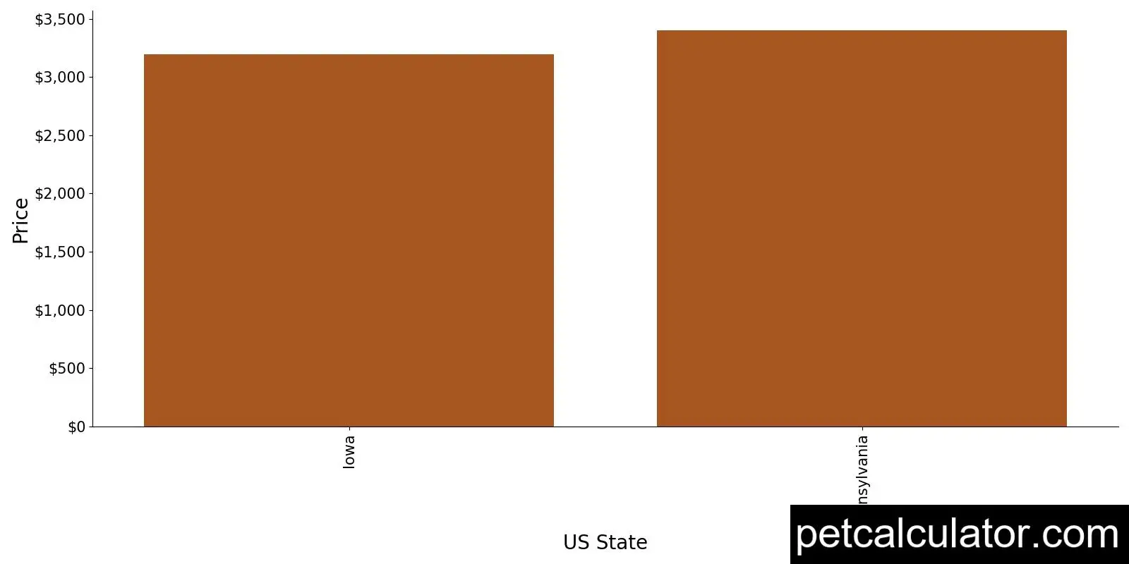 Price of Bernese Water Dog by US State 
