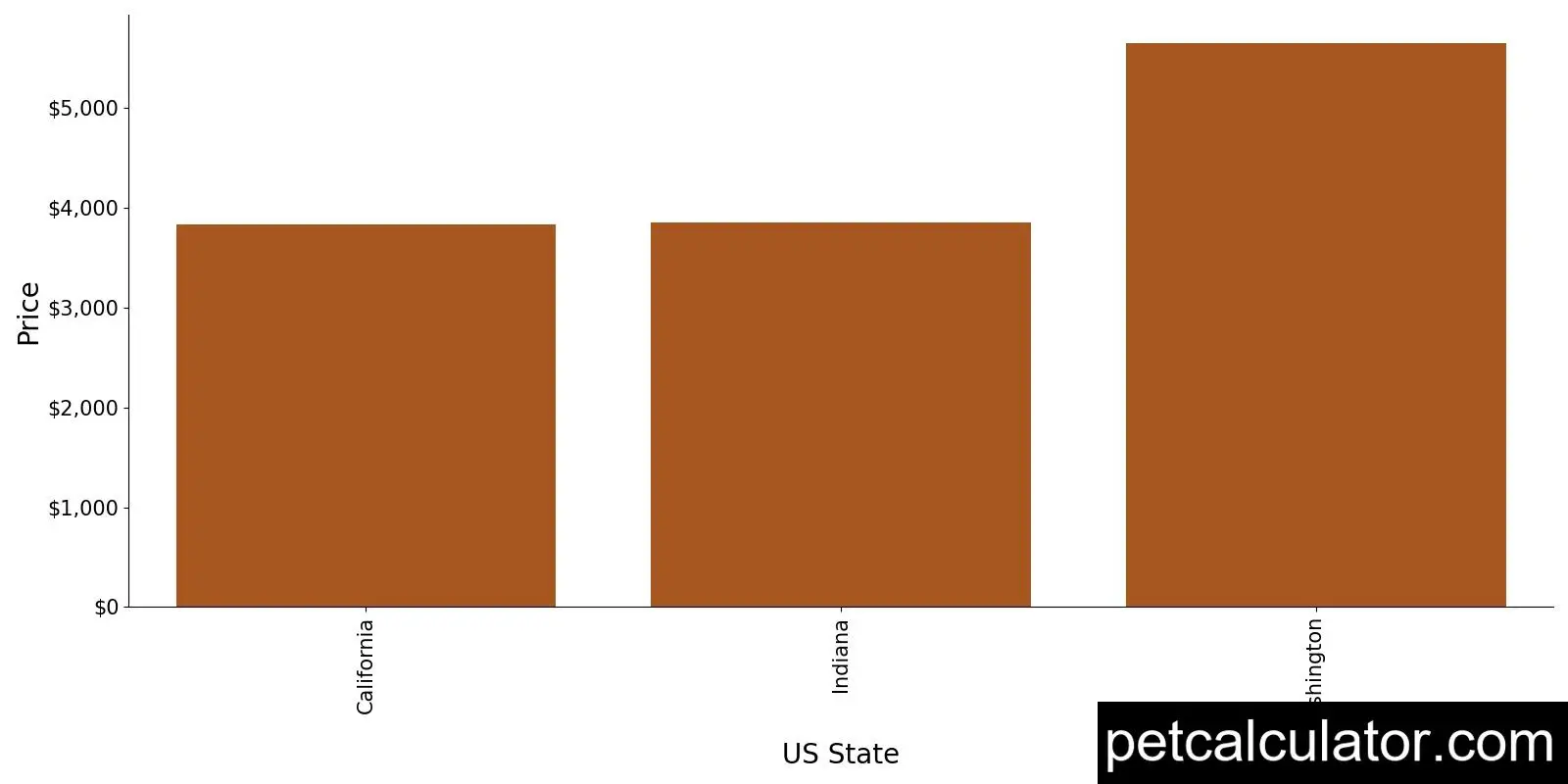 Price of Lagotto Romagnolo by US State 