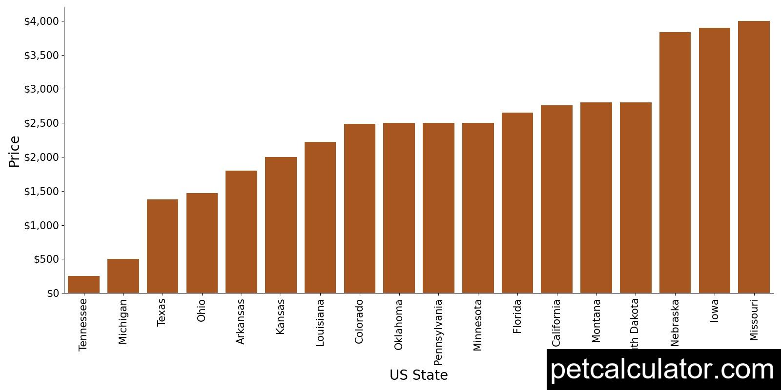 Price of Miniature Bull Terrier by US State 