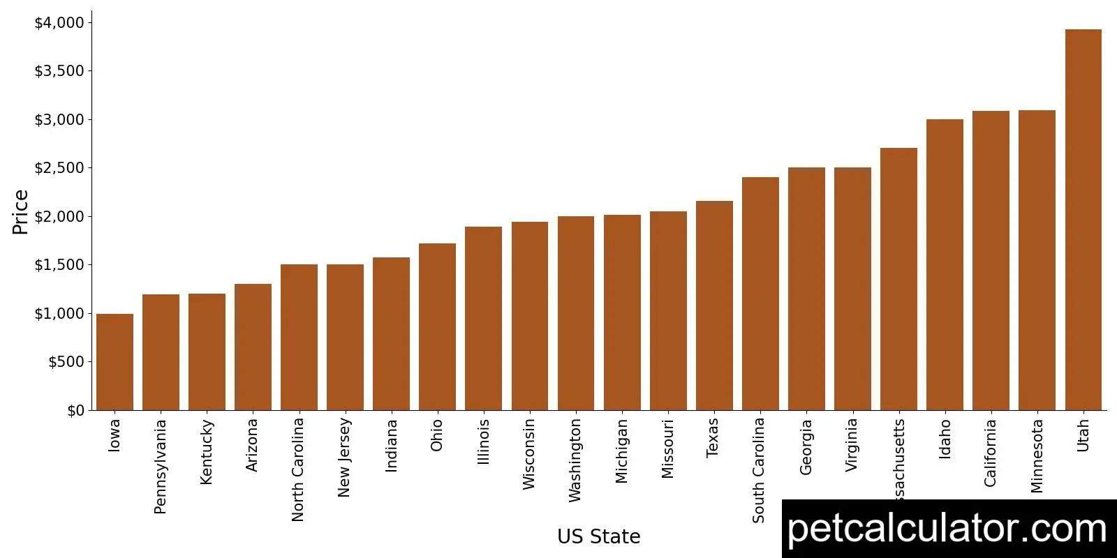 Price of Miniature Golden Retriever by US State 