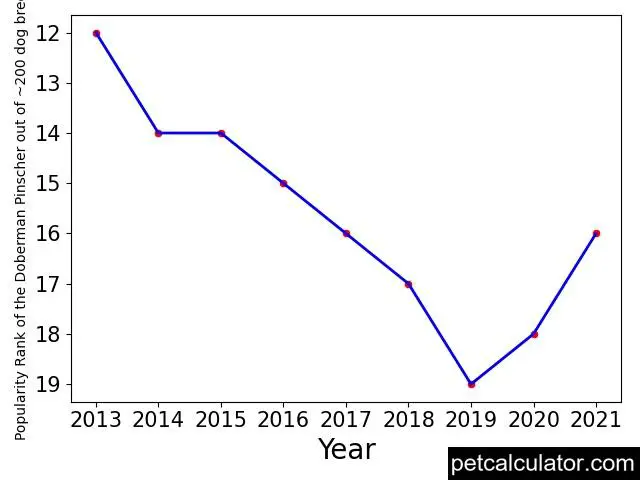 popularity of Doberman Pinscher over the years
