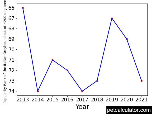 popularity of Italian Greyhound over the years