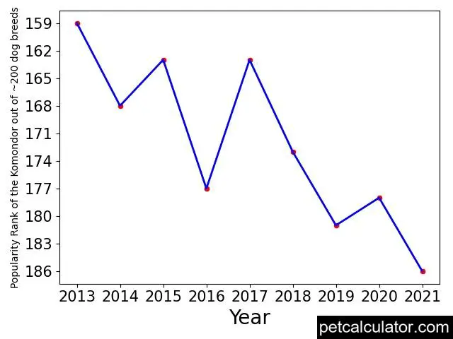 popularity of Komondor over the years