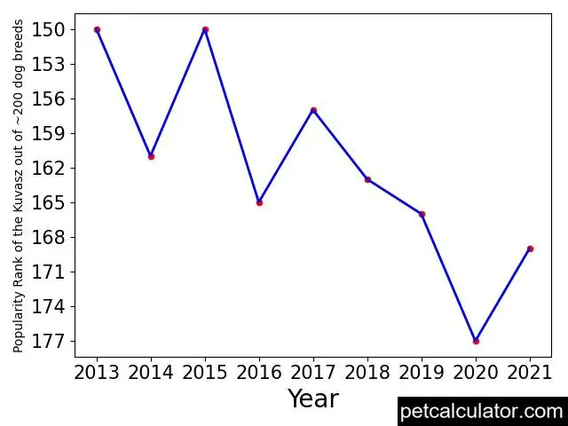 popularity of Kuvasz over the years