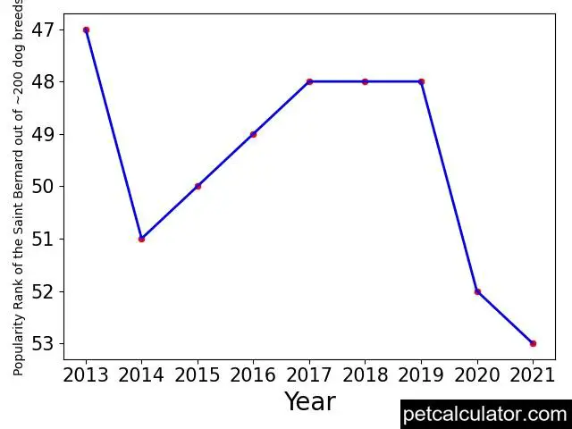 popularity of Saint Bernard over the years