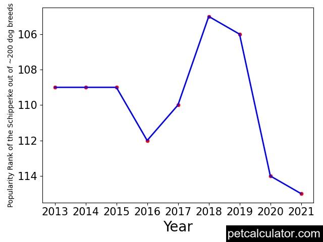 popularity of Schipperke over the years