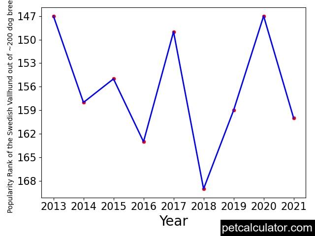 popularity of Swedish Vallhund over the years