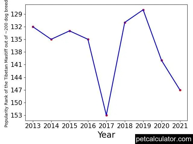 popularity of Tibetan Mastiff over the years