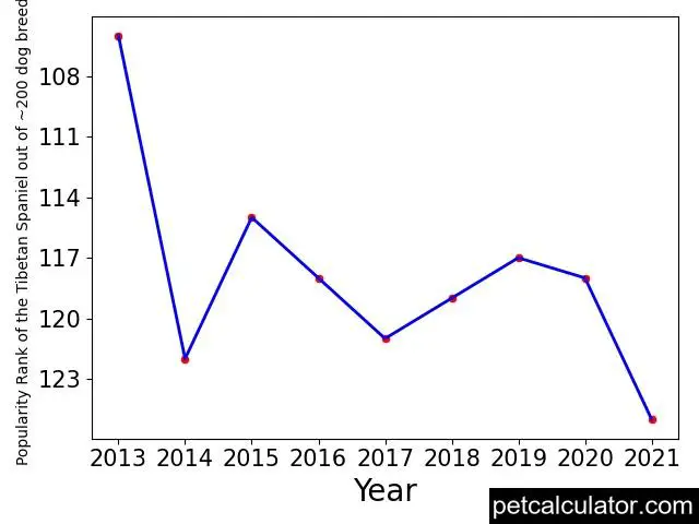 popularity of Tibetan Spaniel over the years