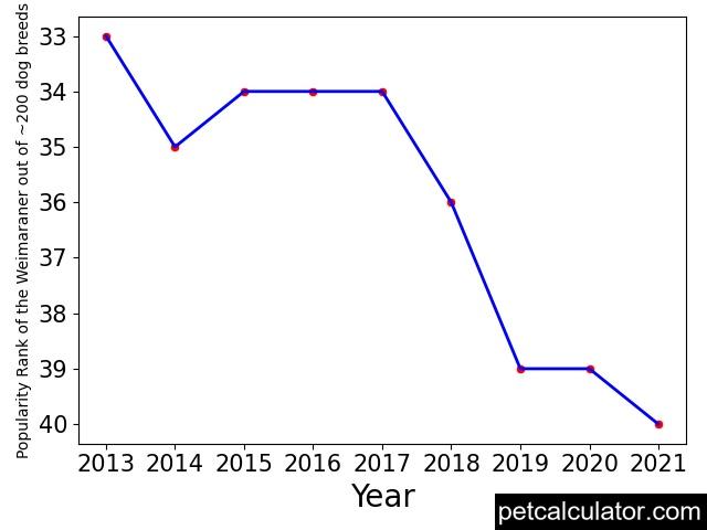 popularity of Weimaraner over the years