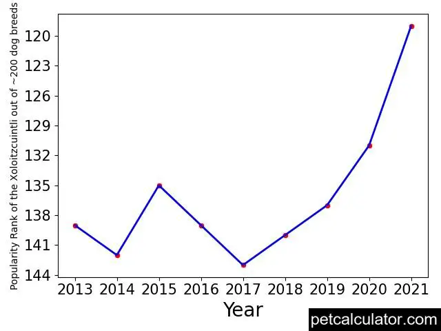 popularity of Xoloitzcuintli over the years