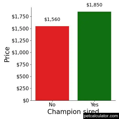 Price of Irish Setter by Champion sired 
